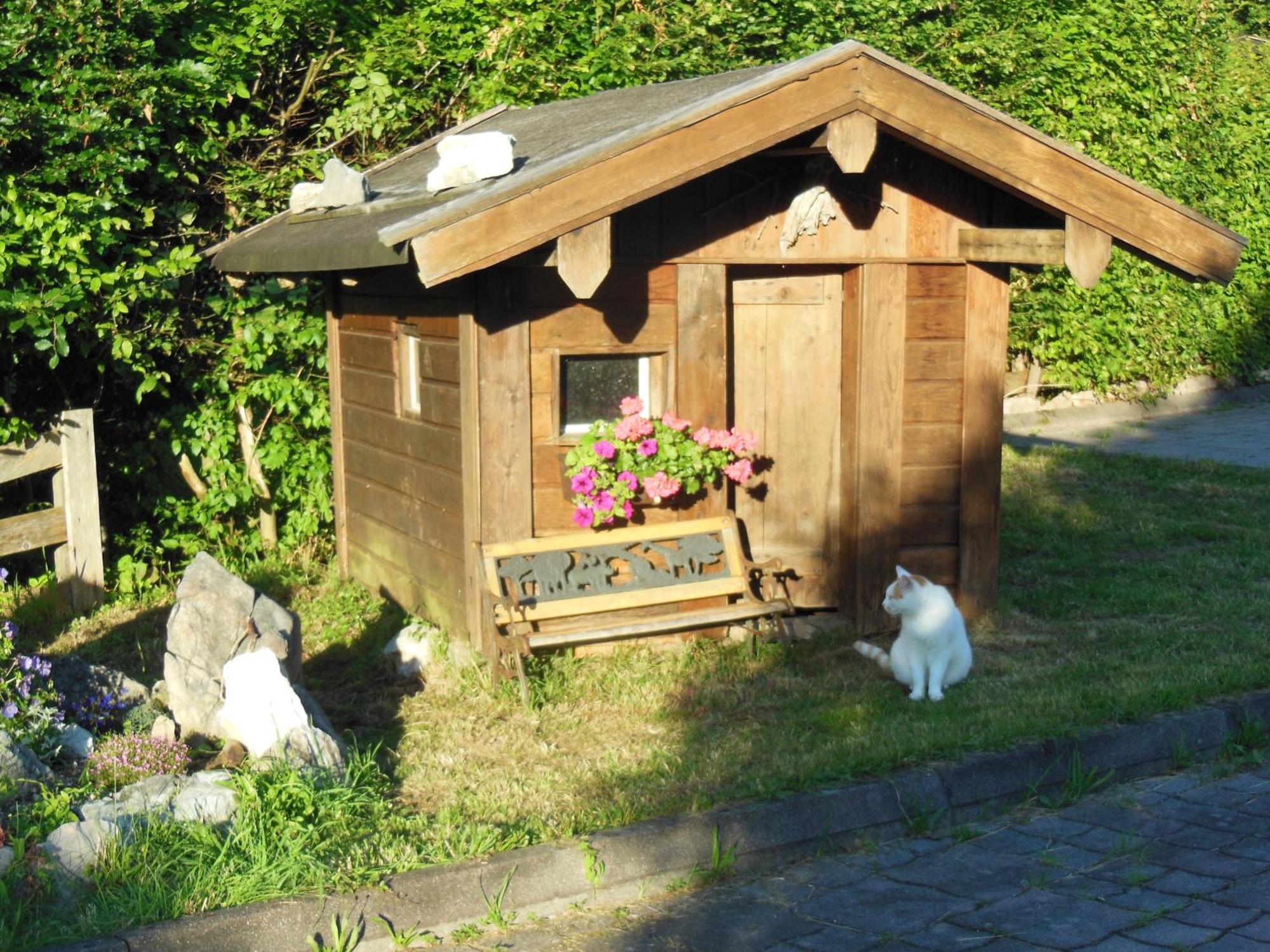 Apartment Haus Renn